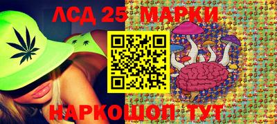 дмт Будённовск