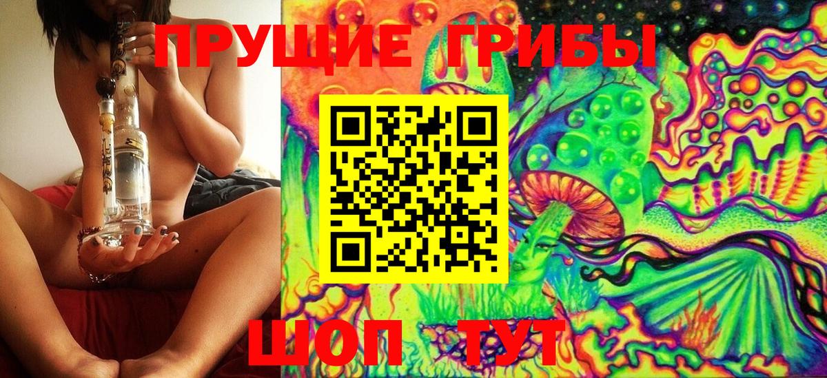 Краснокаменск  Псилоцибиновые грибы прущие грибы  Вход с VPN 