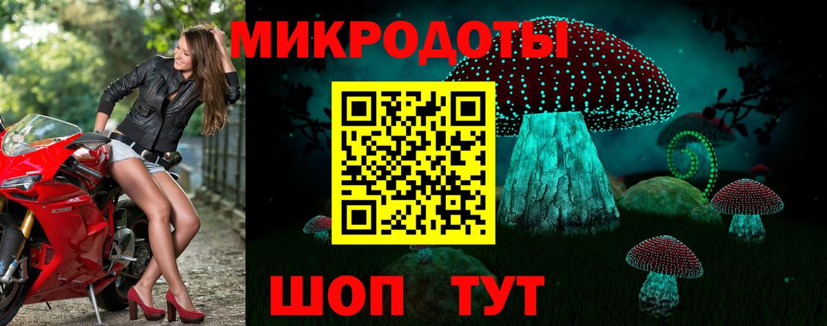Галлюциногенные грибы Cubensis Краснокаменск